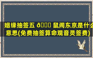 姻缘抽签五 🕊 鼠闹东京是什么意思(免费抽签算命观音灵签费)
